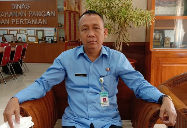 Program Elektrifikasi Pertanian di Bantul Difokuskan Budidaya Hortikultura