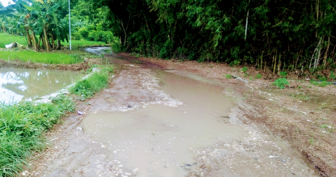 Warga Keluhkan Akses Jalan di Desa Paseyan