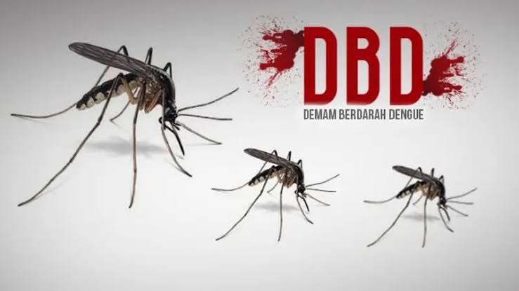 Kasus DBD di Meningkat 100 Persen di Wilayah Jaksel