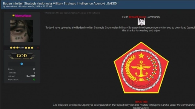 Diretas Hacker, Server BAIS Dinonaktifkan Untuk Peyelidikan