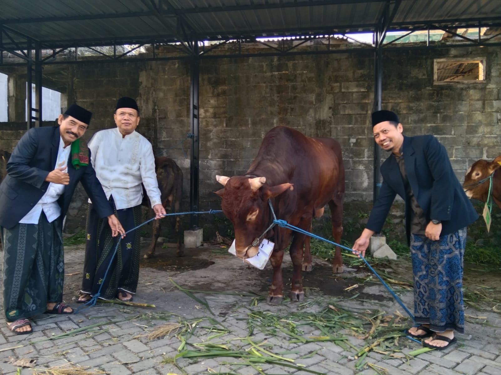 Hari Raya Idul Adha 1445 H Pemkab Blitar Bagikan 11 Ekor Sapi ke 6 Kecamatan