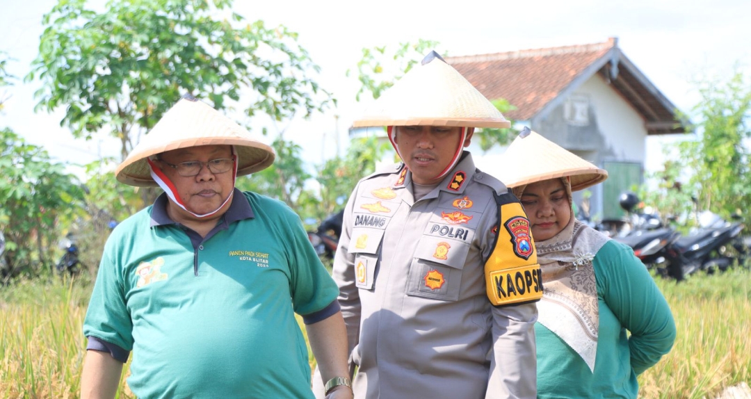 Kapolres Blitar Kota Bersama Forkopimda Kota Blitar, Gelar Panen Padi Sehat Dan Adat Methik Pari 2024
