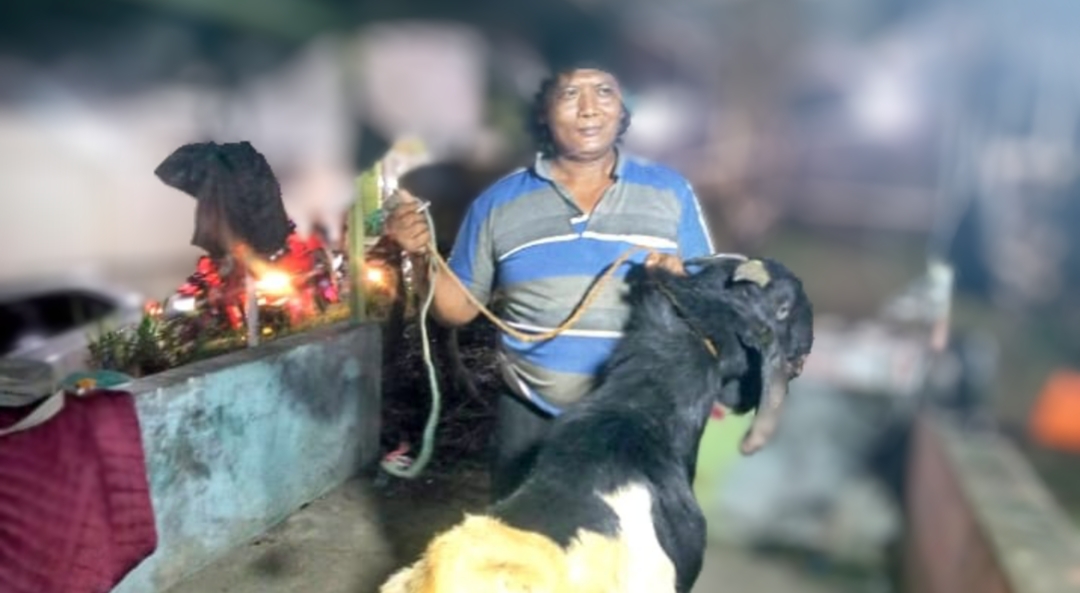 Berikan Yang Terbaik, Penjual Hewan Kurban "BANG BAGONG" Jaga Kepercayaan Konsumen