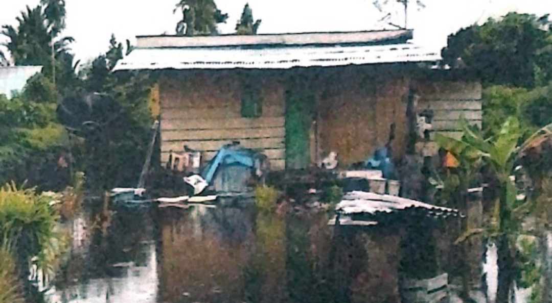 Banjir Landa Kabupaten Mimika di Papua Tengah, 495 Keluarga Terdampak