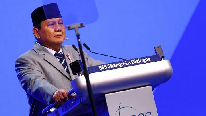 Presiden Terpilih Prabowo Subianto Sebut Indonesia Siap Kirim Bantuan Perdamaian ke Gaza