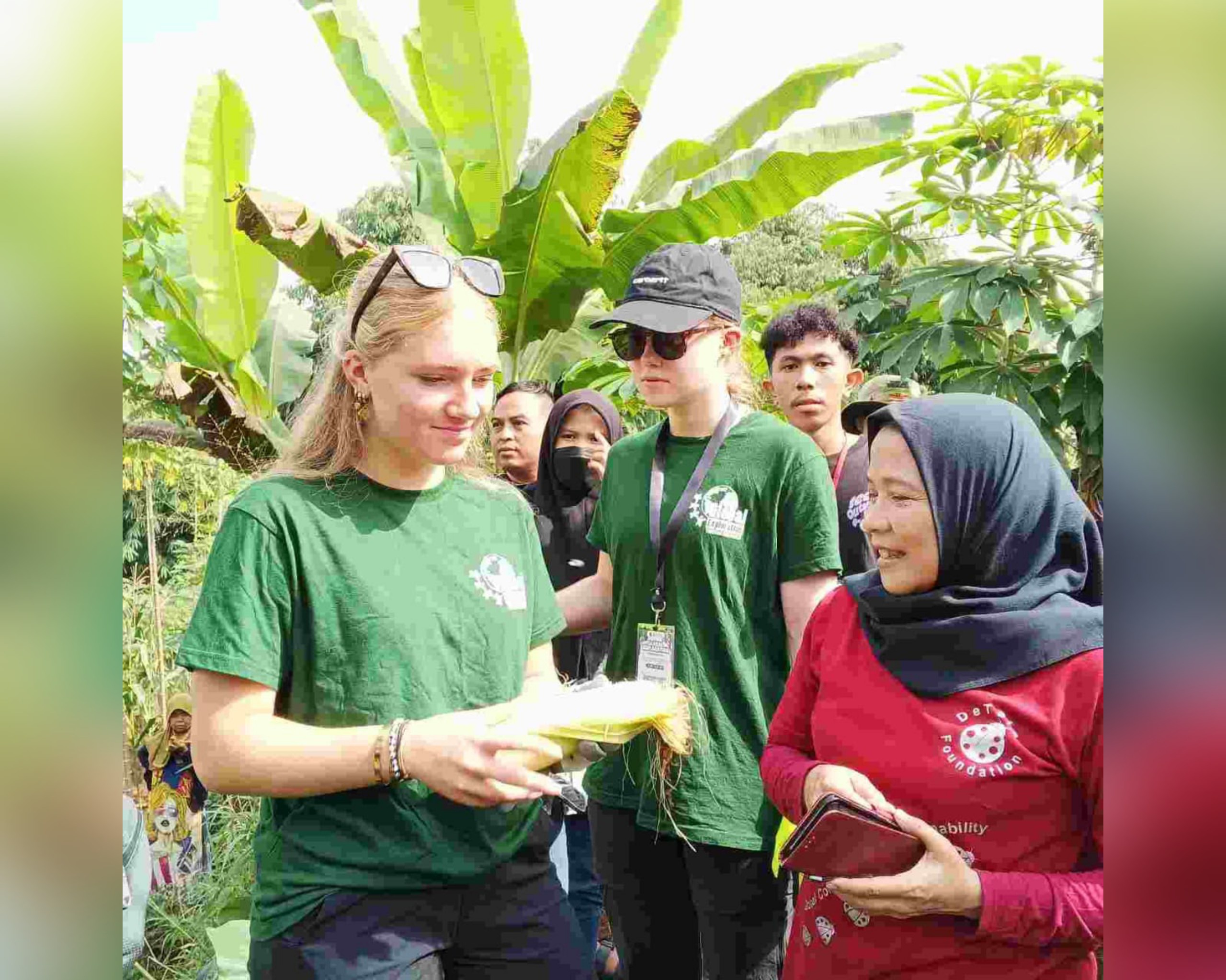 Antusias Para Pelajar Belanda Ikut Memanen Jagung & Singkong di Desa Sukawening Bogor