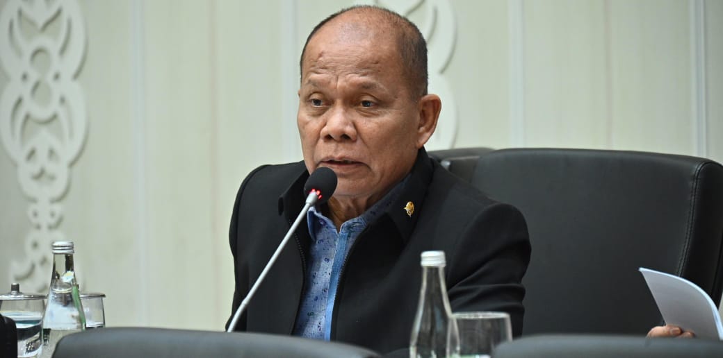 Perlunya Partisipasi Publik dalam Penyusunan RUU RPJPN 2025-2045