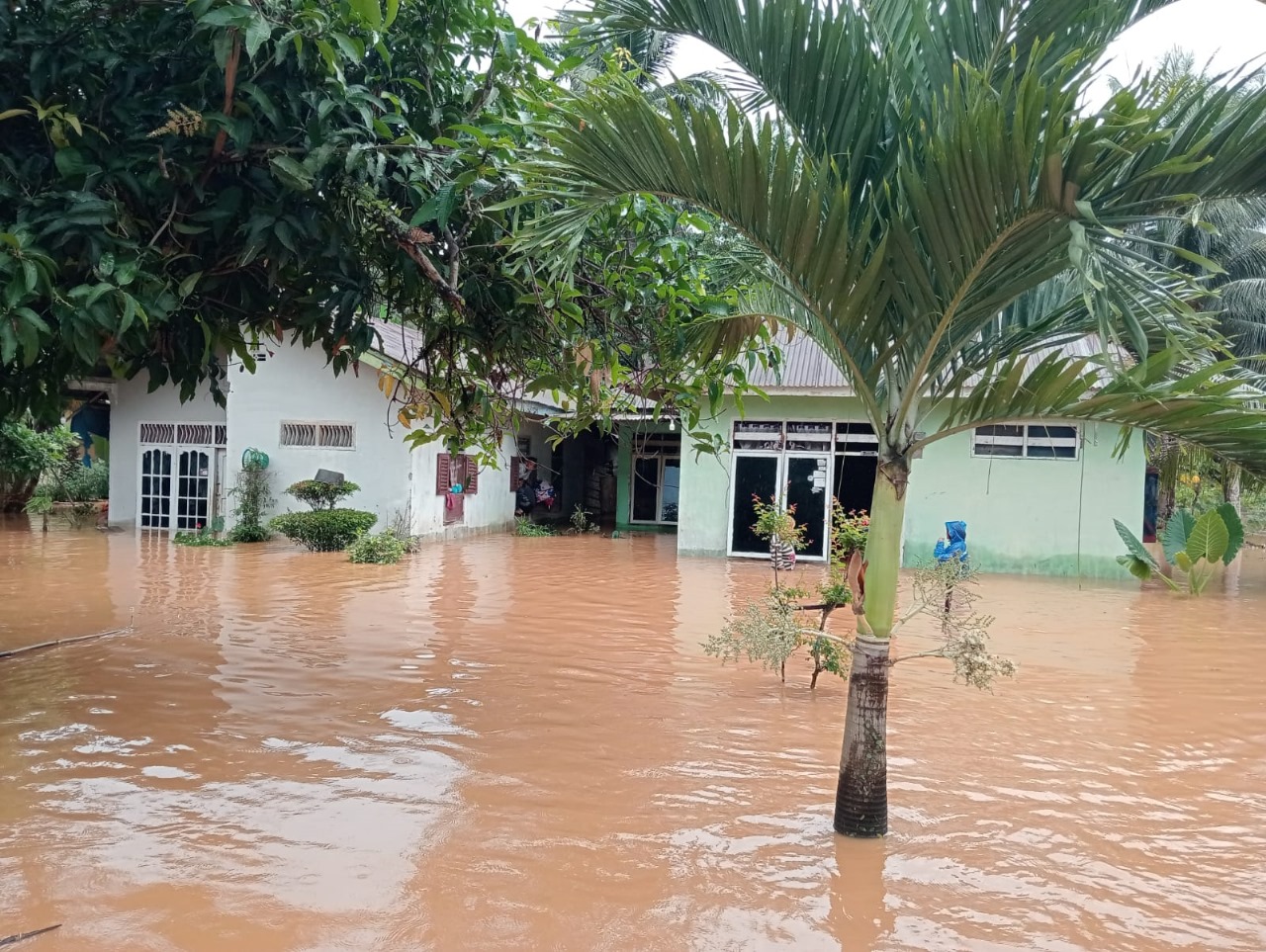 Banjir Merendam Rumah Warga di Kabupaten Seluma, Provinsi Bengkulu