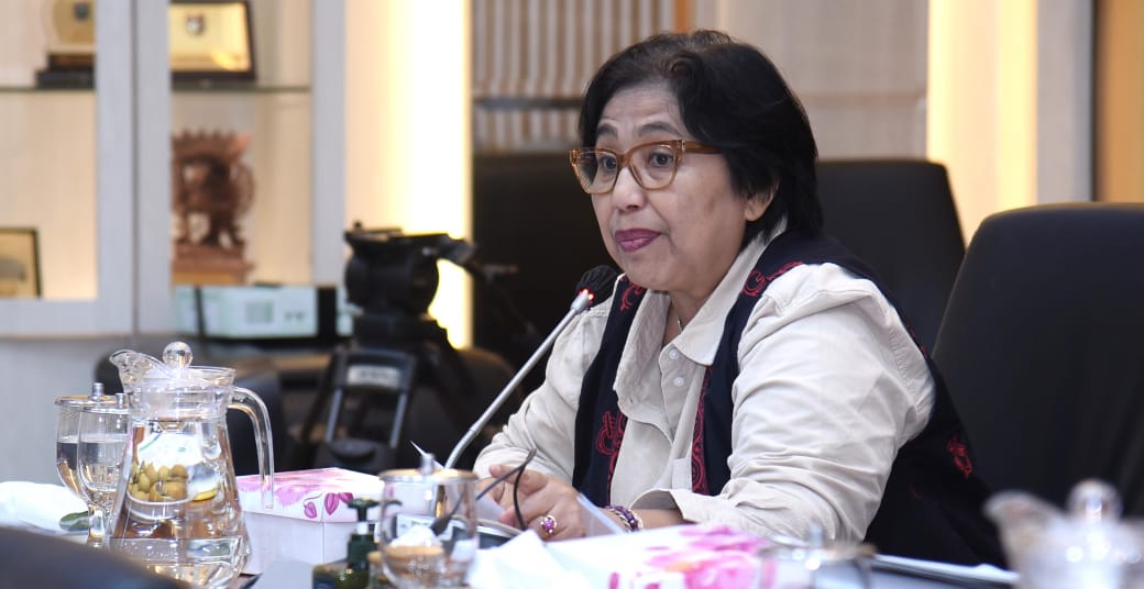 Irma Curigai Penerapan Satu Tarif BPJS Kesehatan KRIS Karena Dorongan Asuransi Swasta