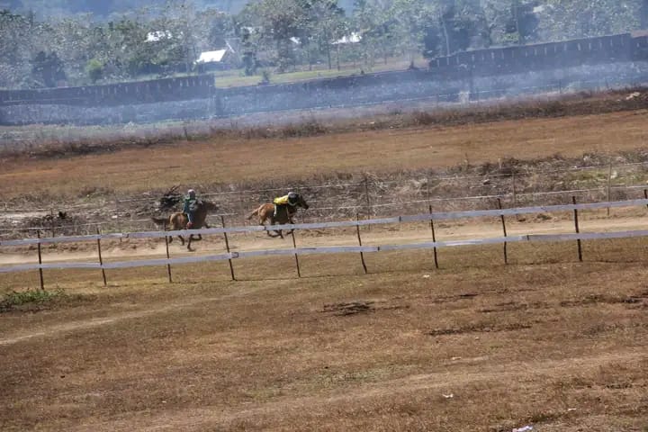 Event Pacuan Kuda Bupati CUP Sumba Barat Tahun 2024 Resmi Digelar