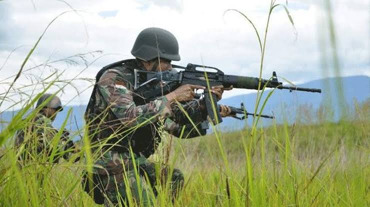 TNI Tembak Mati Tiga Terduga Anggota OPM di Puncak Jaya