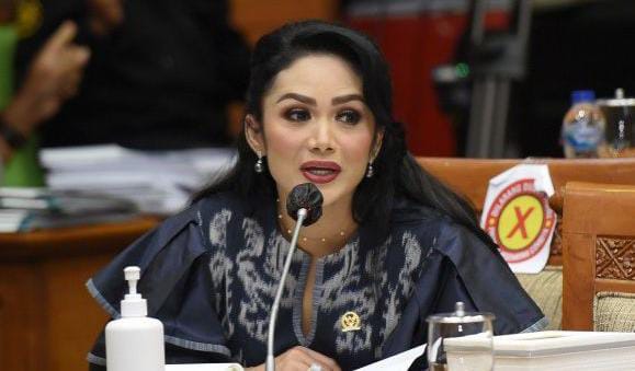 Kris Dayanti: Cegah Angka Kematian Bayi dengan Optimalkan UU KIA