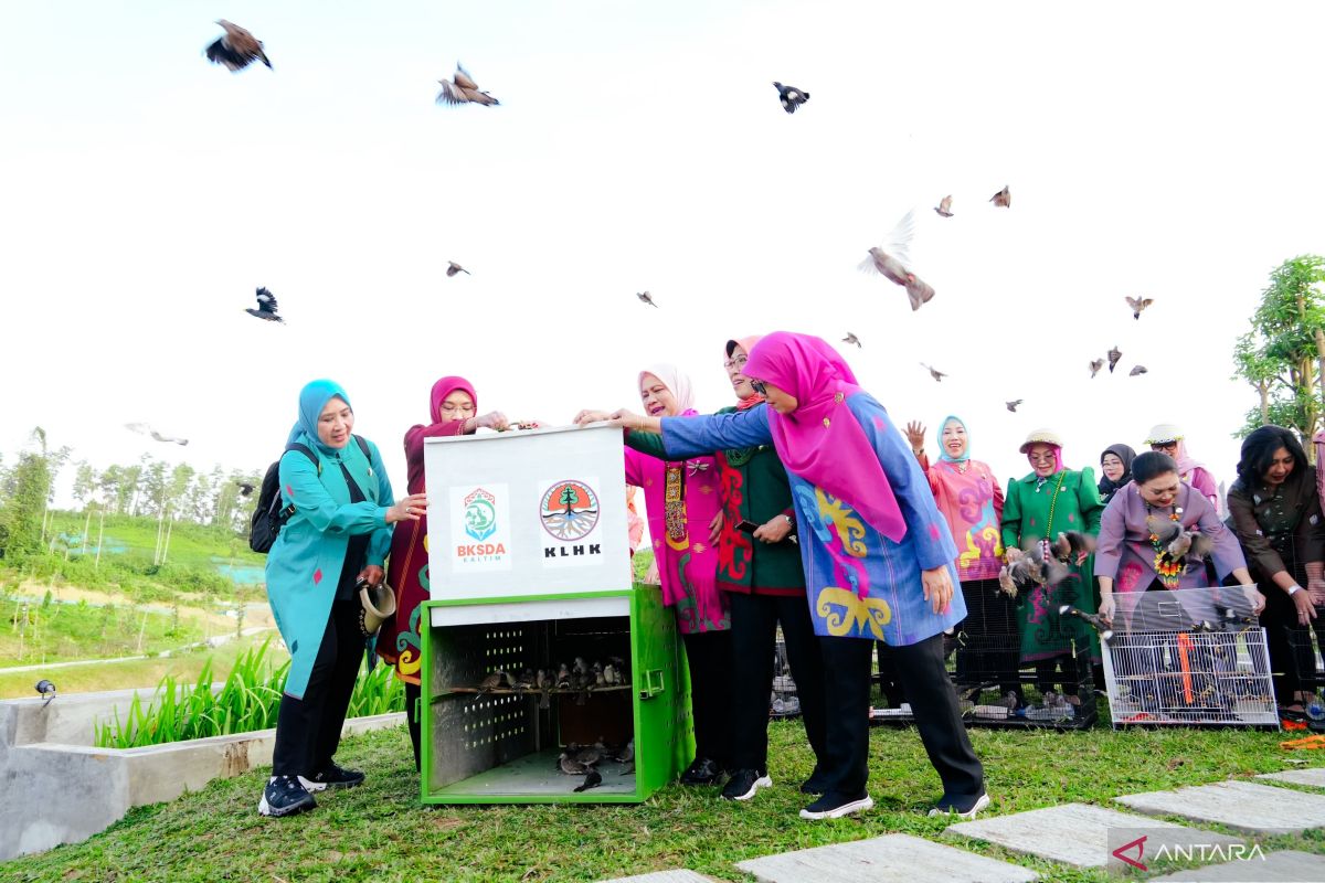 Ibu Negara Bersama OASE KIM Lepaspkan Ratusan Burung di IKN