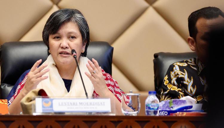 Perlu Gerak dan Pemahaman yang Sama untuk Mewujudkan UU PPRT dan UU MHA