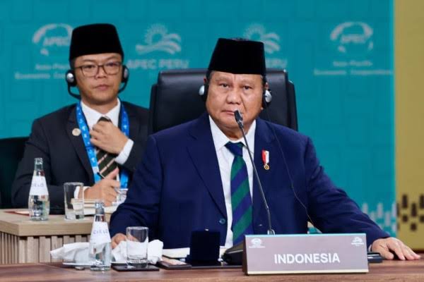 Prabowo Tegaskan Komitmen Indonesia Dukung Mitigasi Perubahan Iklim Global