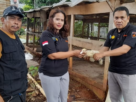 DPD Gannas Tangsel Serahkan Bantuan Bebek: Kunci Ekonomi Lokal Bangkit