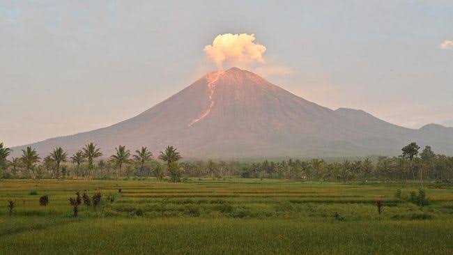 Gunung Semeru Kembali Erupsi