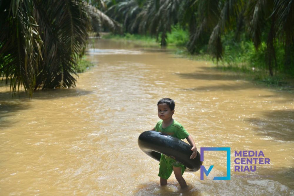 Pemprov Riau Bentuk Satgas Penanggulangan Bencana Hidrometeorologi