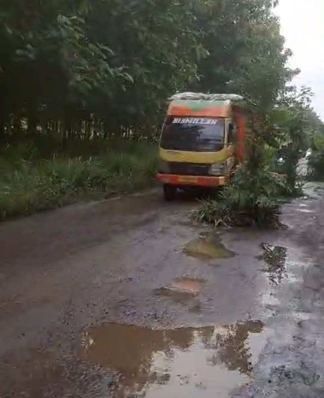 Jalan Brongkos Blitar Rusak Ditanami Pohon Akan Segera Diperbaiki Dengan Anggaran Kedaruratan, ini Penjelasannya