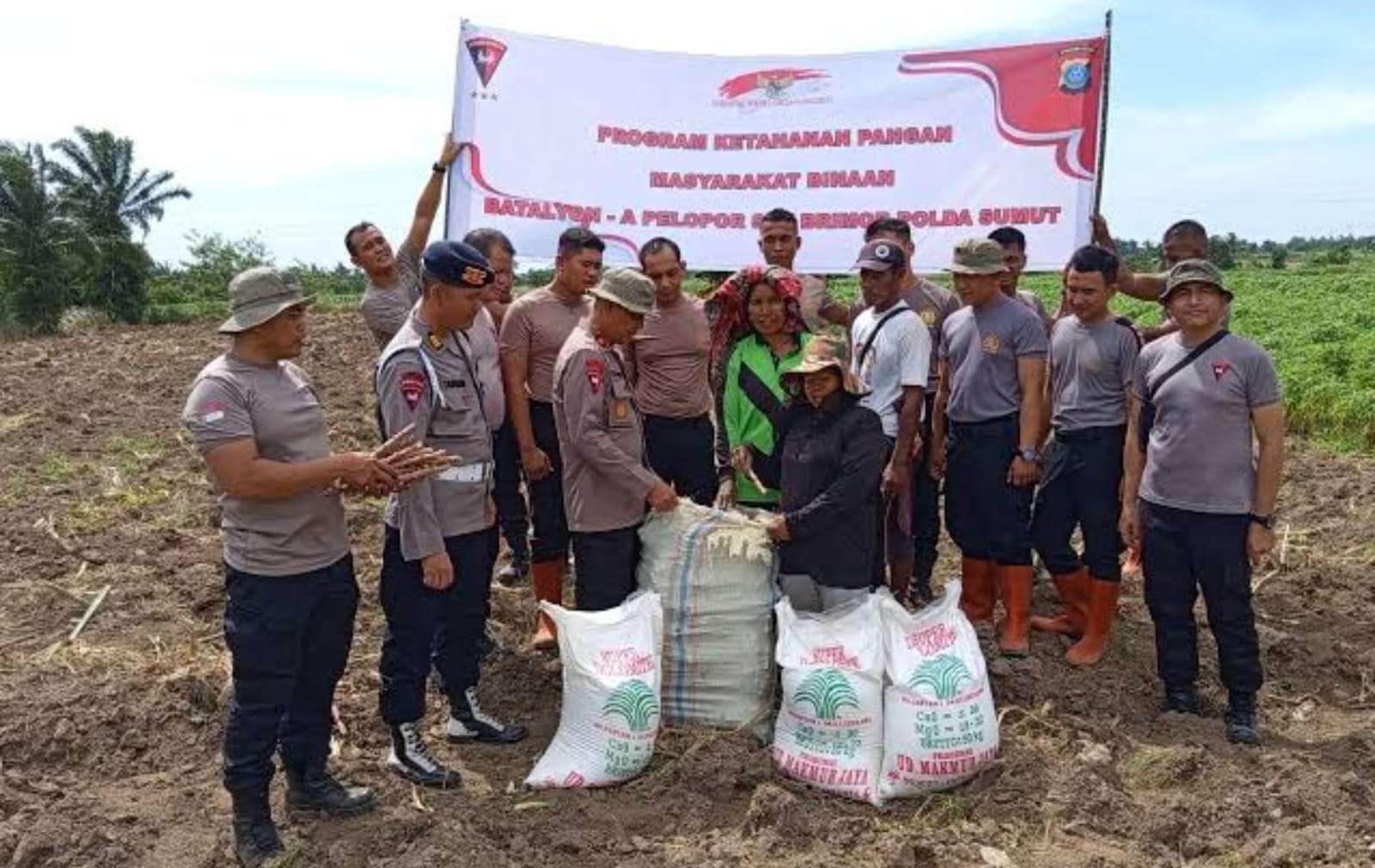 Sebanyak 548,37 Hektare Lahan Disediakan untuk Tanaman Jagung