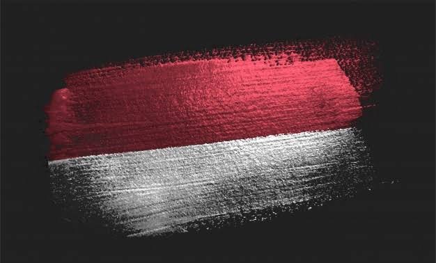 Ambang Batas Dihapus, IMO-Indonesia Siap Jembatani Ruang Elektoralisme Kandidasi Presiden