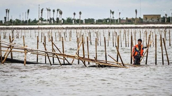 Eks Bupati Tangerang Sebut Pagar Laut Sudah Ada Sejak 2014