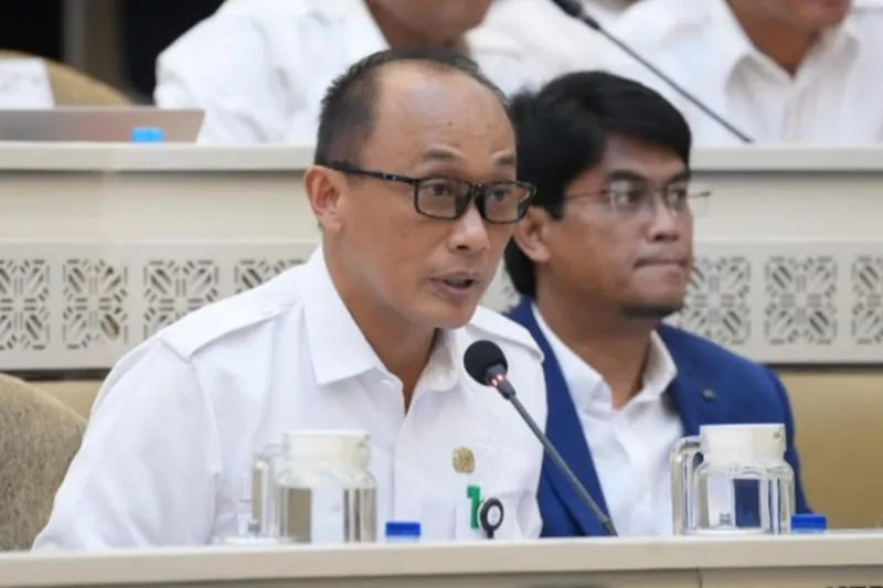 BKN Sebut Larangan Pengangkatan Stafsus bagi Kepala Daerah Tidak Terkait Penghematan Anggaran