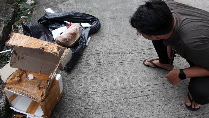 IMO-Indonesia Kecam Kiriman Kepala Babi ke Kantor Tempo