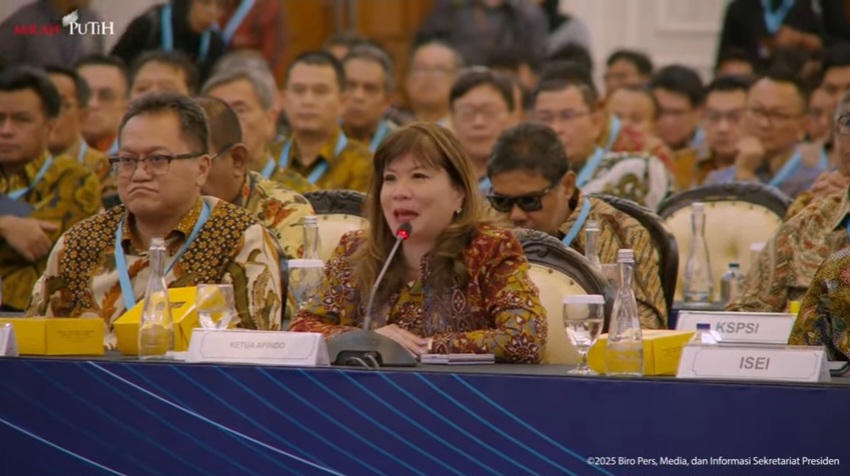 Selaras, Presiden-Apindo Lindungi Dunia Usaha Indonesia