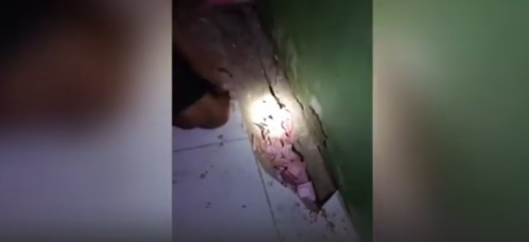 Heboh, Duit 22 Juta Dibawa Lari Tikus