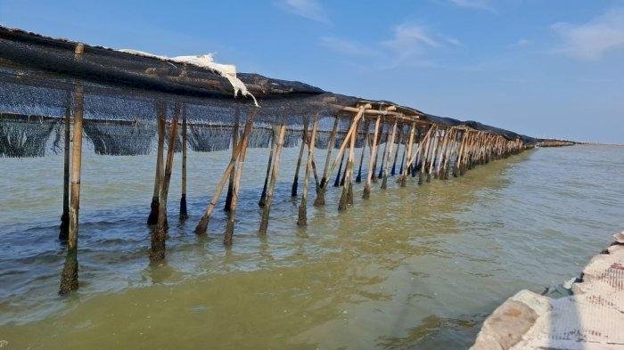 Berkas Kasus Pagar Laut Tangerang Dikirim Kembali ke Kejagung