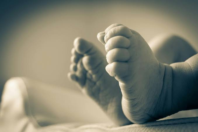 Bayi Tak Berdosa Dibuang di Jepara