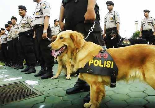 Identitas Pemilir Diperiksa Pasca Lebaran