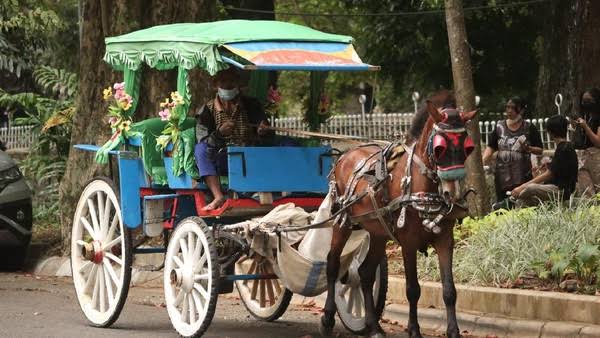 Viral, Wisatawan Asal Tangerang Kaget Tarif Delman di Bandung Mahal