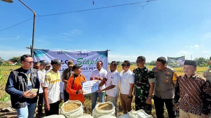 Penyerapan Gabah Petani Capai 1 Juta Ton