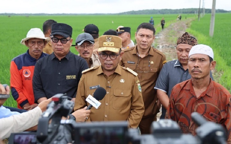 Andra Soni: Infrastruktur Jalan Memudahkan Mobilitas Pertanian di Baten