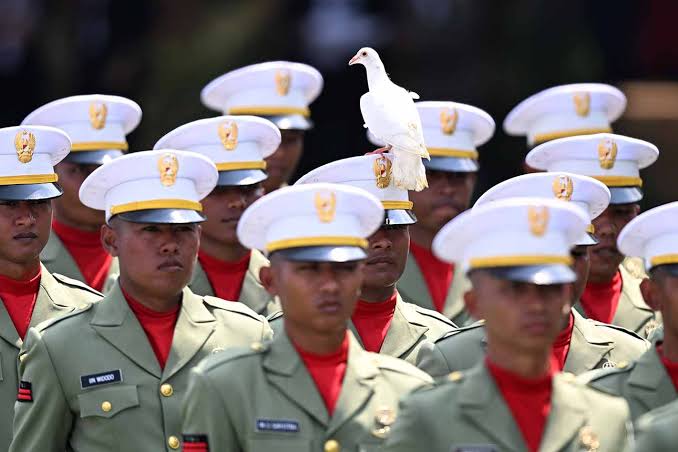 Momen Tak Biasa, Merpati Putih Hinggap di Kepala Pelakana Upacara HUT ke-80 RI