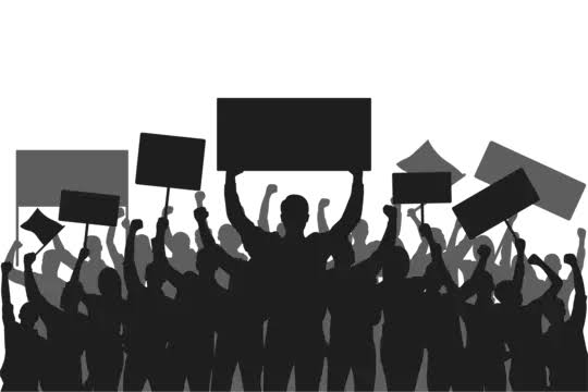 Simpatisan Jokowi Siap Kerahkan 500 Perempuan Demo Pakai BH dan CD