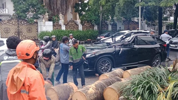Mobil Lexus Tertimpa Pohon Tumbang di Pondok Indah Jaksel