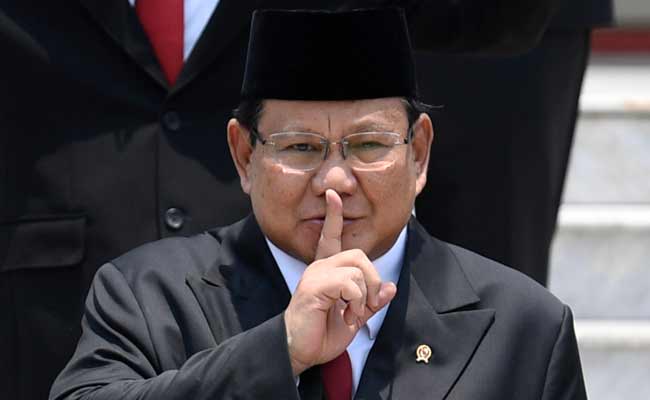 Presiden Prabowo Diklaim Bakal ke Israel, Begini Kata Menlu
