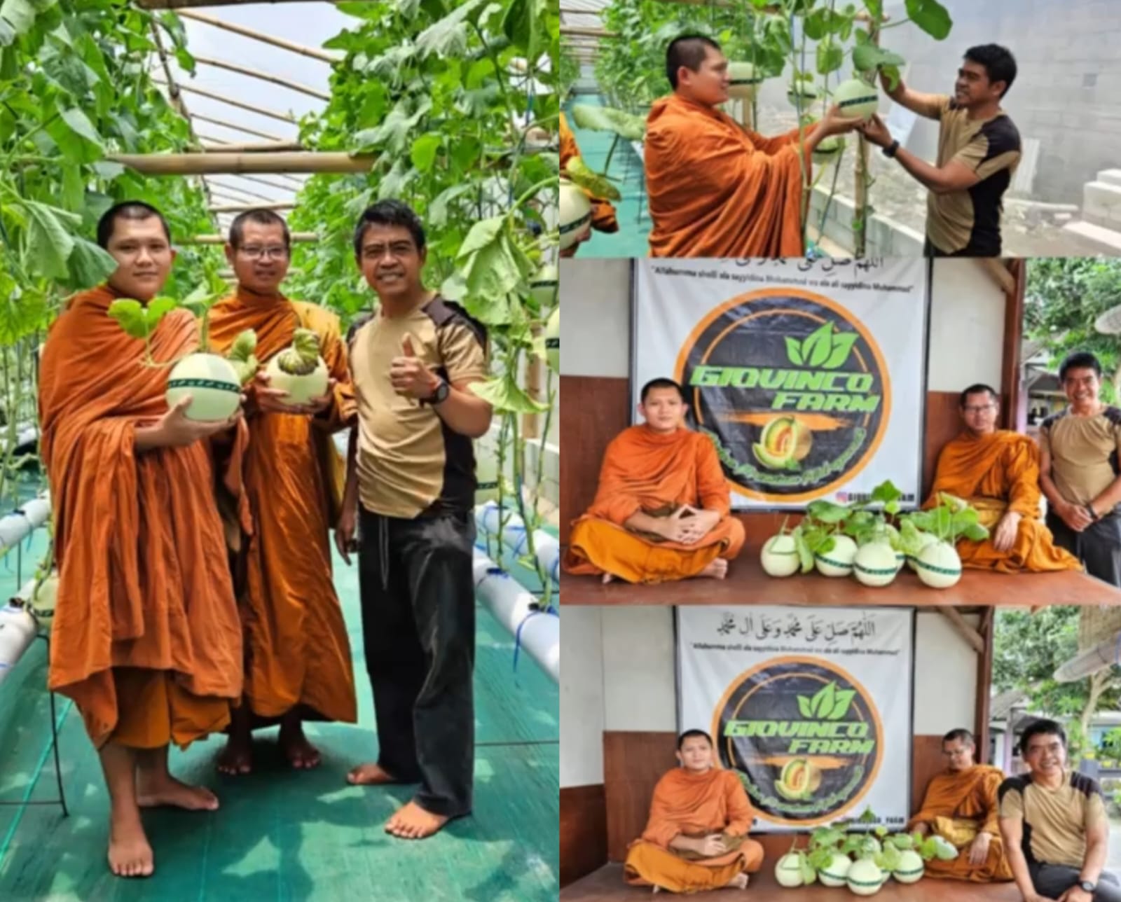 Bayu Setyo Kuncoro "Dari Panggung Politik ke Ladang Melon" Ternyata Bertani Lebih Tentram