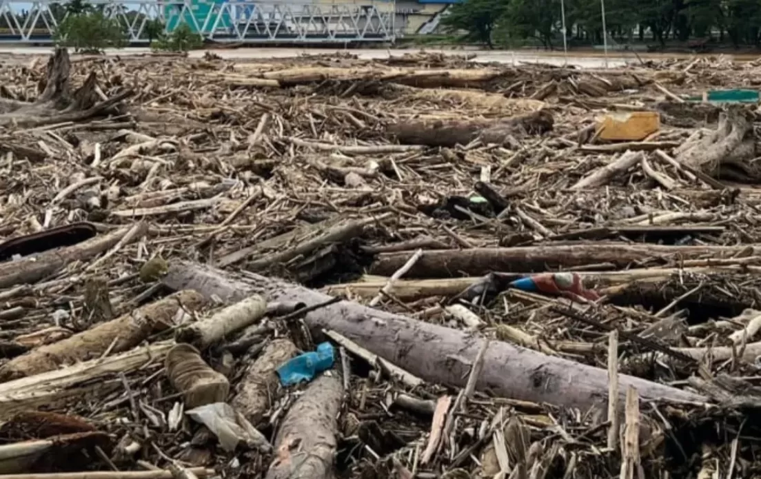 Gubernur Aceh Larang Warga Ambil Kayu-Kayu Gelondongan