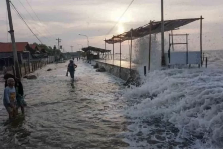 Banjir Rob, Sejumlah Lokasi di Jakarta Utara Terendam