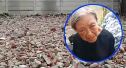Gerak Cepat, Ormas Madas Langsung Pecat Anggotanya yang Mengusir Nenek Elina