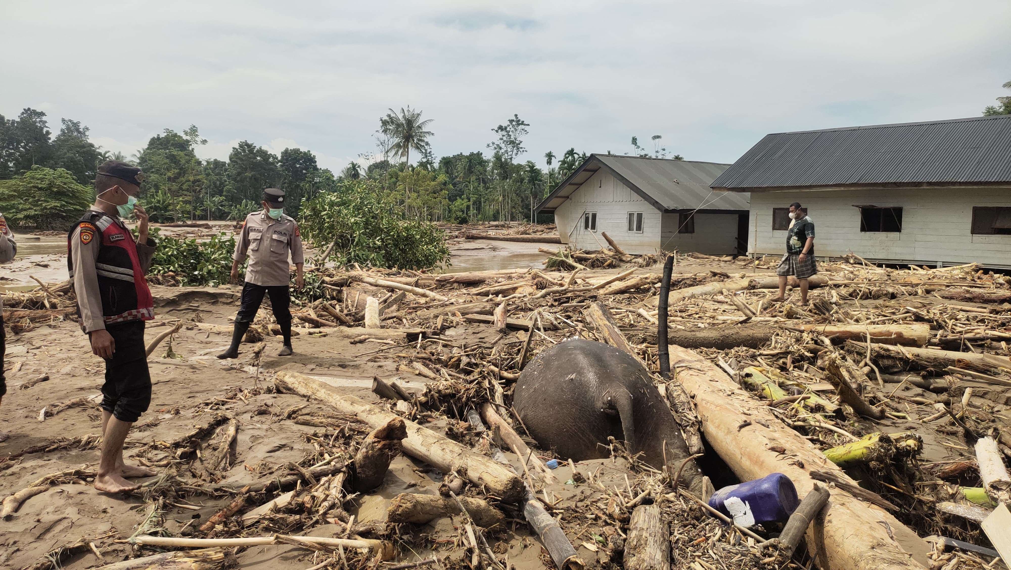 Wakil Ketua MPR Sebut Bencana di Aceh Dampak Krisis Lingkungan