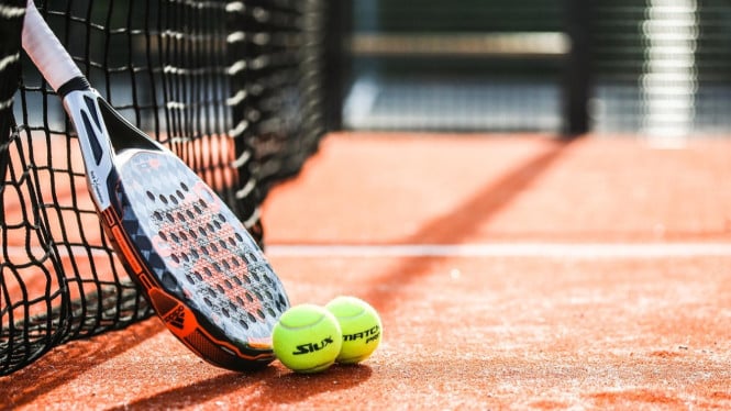 Apresiasi Pemprov DKI Sikat Padel Ilegal