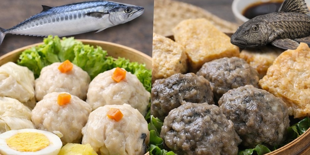 Hati-Hati! Begini Cara Bedakan Siomay Terbuat dari Ikan Tenggiri atau Sapu-Sapu