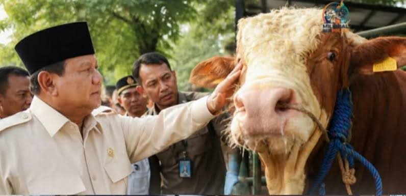 Presiden Salurkan 1.098 Sapi Kurban