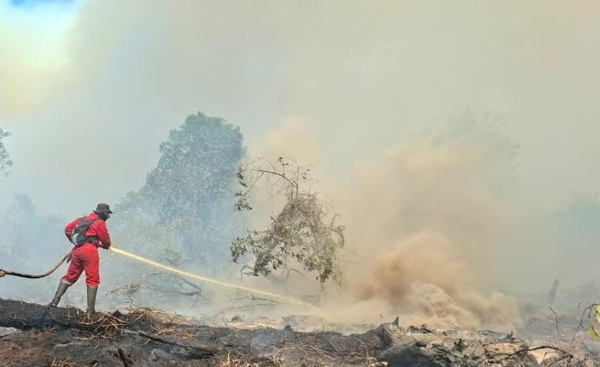 Kelewat Batas, PM Singapura Minta Pemilik Korporasi di Balik Karhutla Diusut