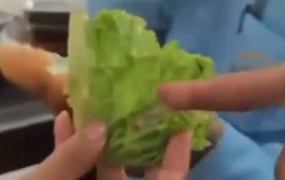 Warga Laporkan Temuan Dugaan Ulat di Menu MBG SMK Era Pembangunan